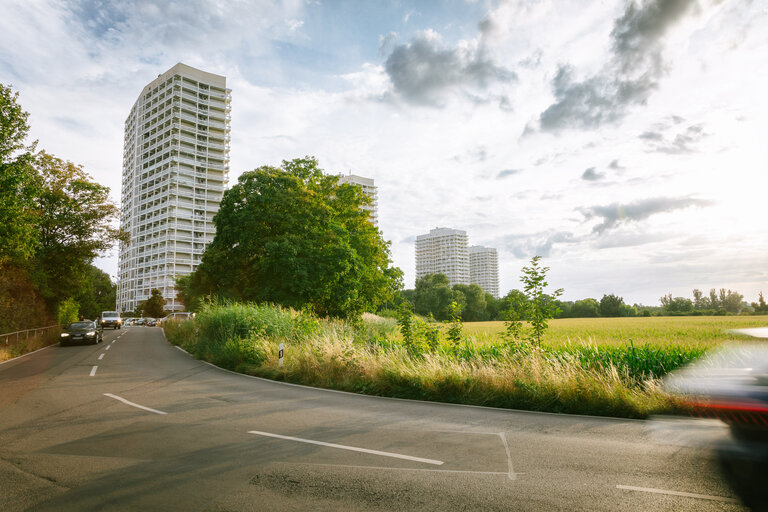Palliativberatungsdienst Ludwigshafen: Blick auf die Hochhäuser der Froschlache