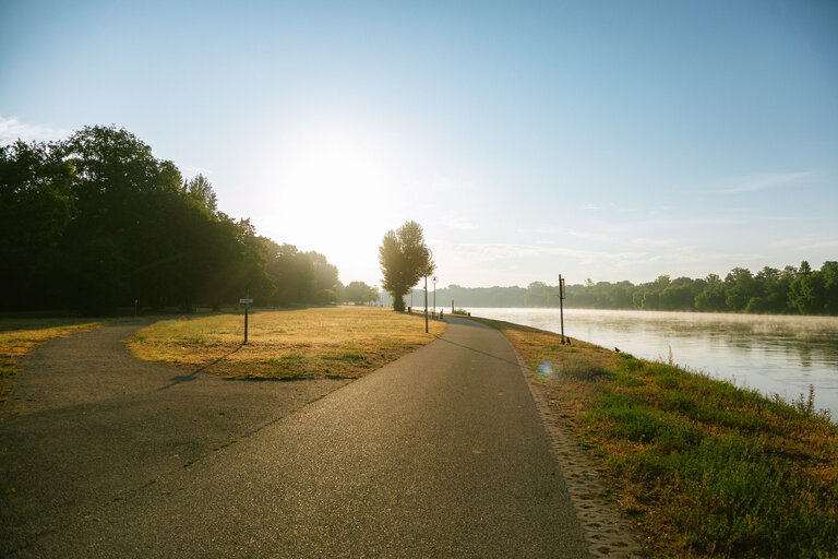 Palliativberatung Ludwigshafen: Parkinsel und Rhein zum Sonnenaufgang