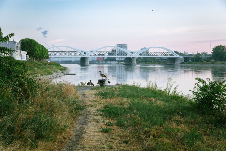 Ambulante Palliativberatung: Blick von der Parkinsel auf die Konrad-Adenauer Brücke zwischen Ludwigshafen und Mannheim
