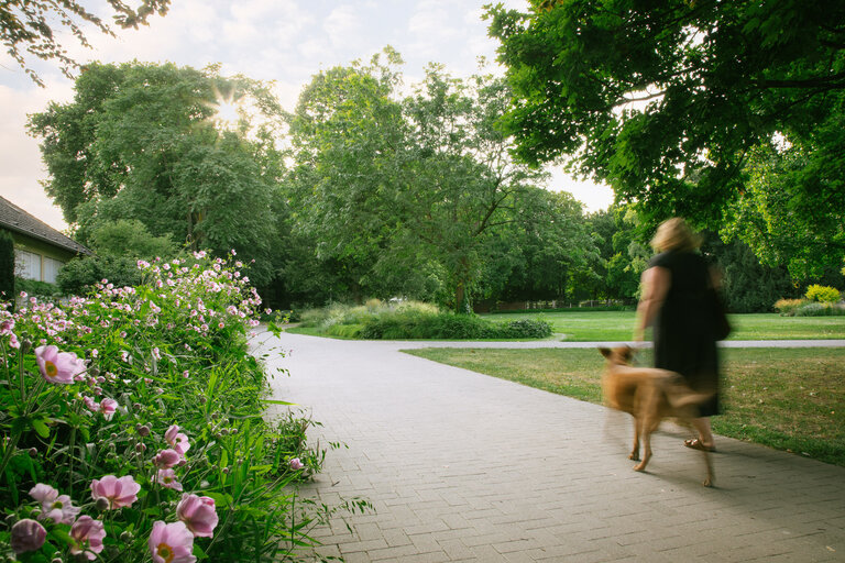 Eine Frau spaziert mit ihrem Hund durch den Ebertpark. Hospiz- und Palliativberatungsdienst Ludwigshafen